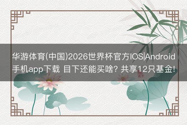 华游体育(中国)2026世界杯官方IOS|Android手机app下载 目下还能买啥? 共享12只基金!