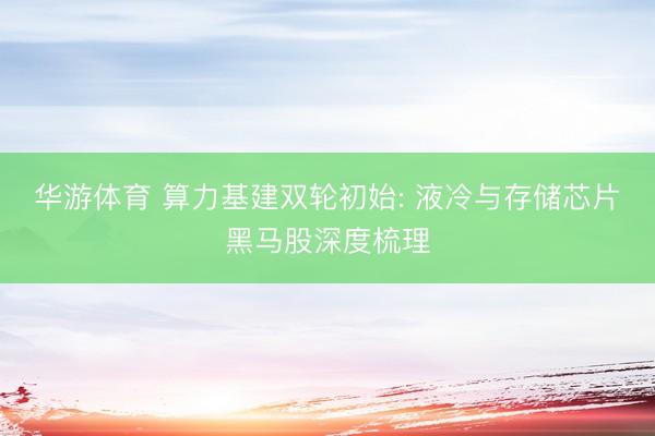华游体育 算力基建双轮初始: 液冷与存储芯片黑马股深度梳理