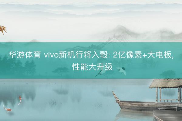 华游体育 vivo新机行将入彀: 2亿像素+大电板， 性能大升级