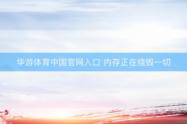 华游体育中国官网入口 内存正在烧毁一切