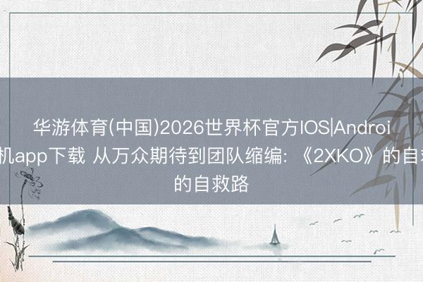 华游体育(中国)2026世界杯官方IOS|Android手机app下载 从万众期待到团队缩编: 《2XKO》的自救路