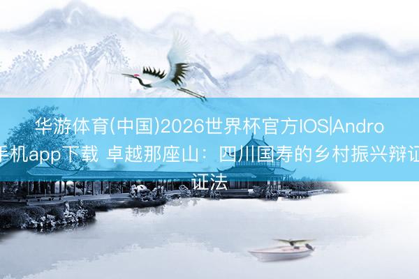 华游体育(中国)2026世界杯官方IOS|Android手机app下载 卓越那座山：四川国寿的乡村振兴辩证法