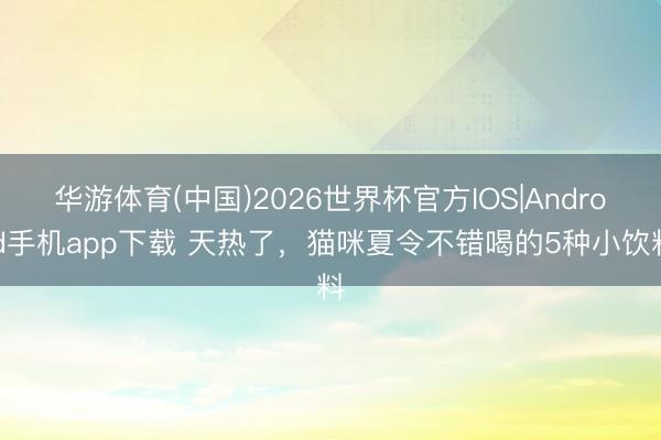 华游体育(中国)2026世界杯官方IOS|Android手机app下载 天热了，猫咪夏令不错喝的5种小饮料