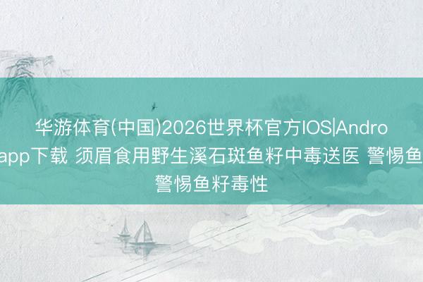 华游体育(中国)2026世界杯官方IOS|Android手机app下载 须眉食用野生溪石斑鱼籽中毒送医 警惕鱼籽毒性