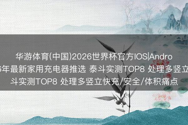 华游体育(中国)2026世界杯官方IOS|Android手机app下载 2026年最新家用充电器推选 泰斗实测TOP8 处理多竖立快充/安全/体积痛点