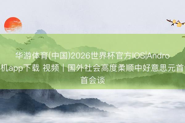 华游体育(中国)2026世界杯官方IOS|Android手机app下载 视频｜国外社会高度柔顺中好意思元首会谈