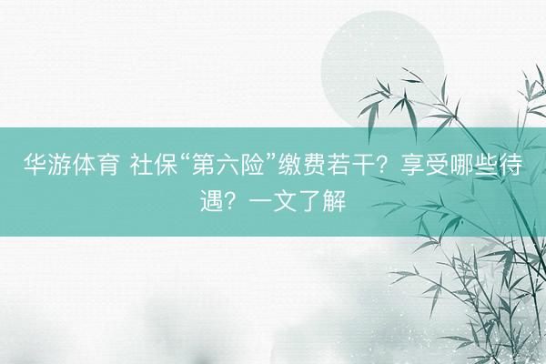 华游体育 社保“第六险”缴费若干？享受哪些待遇？一文了解