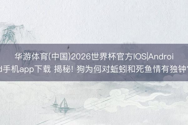 华游体育(中国)2026世界杯官方IOS|Android手机app下载 揭秘! 狗为何对蚯蚓和死鱼情有独钟?