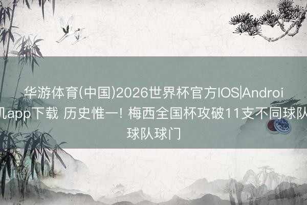 华游体育(中国)2026世界杯官方IOS|Android手机app下载 历史惟一! 梅西全国杯攻破11支不同球队球门